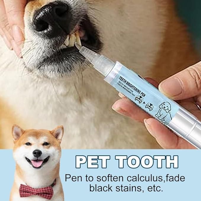 BB Pet Pen Toothbrush