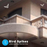 BB Animal Control Spikes
