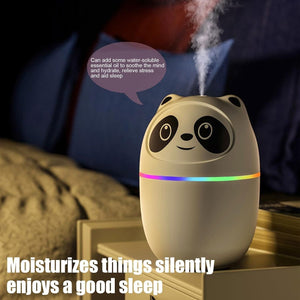 BB Portable Humidifier