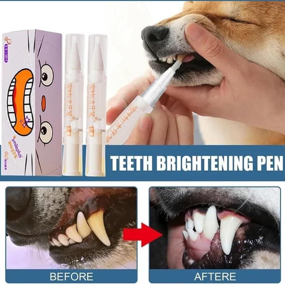 BB Pet Pen Toothbrush
